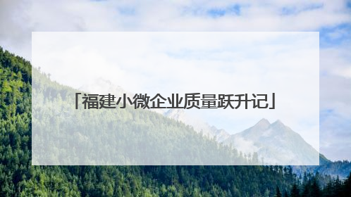福建小微企业质量跃升记
