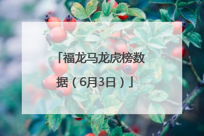 福龙马龙虎榜数据（6月3日）