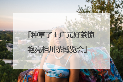 种草了！广元好茶惊艳亮相川茶博览会