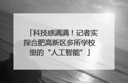 科技感满满！记者实探合肥高新区多所学校里的“人工智能”