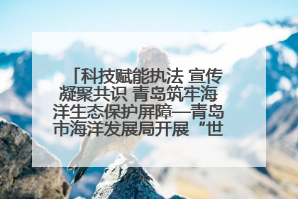 科技赋能执法 宣传凝聚共识 青岛筑牢海洋生态保护屏障—青岛市海洋发展局开展“世界海洋日”和“全国海洋宣传日”宣传活动
