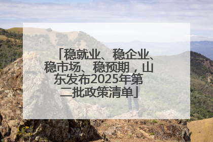 稳就业、稳企业、稳市场、稳预期，山东发布2025年第二批政策清单