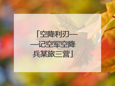 空降利刃——记空军空降兵某旅三营
