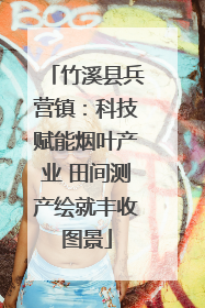 竹溪县兵营镇：科技赋能烟叶产业 田间测产绘就丰收图景