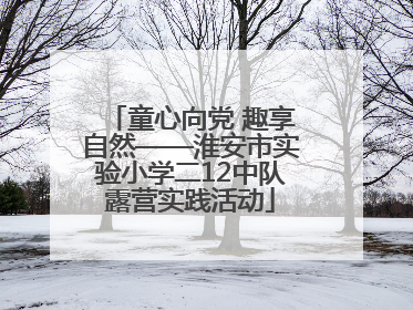 童心向党 趣享自然——淮安市实验小学二12中队露营实践活动