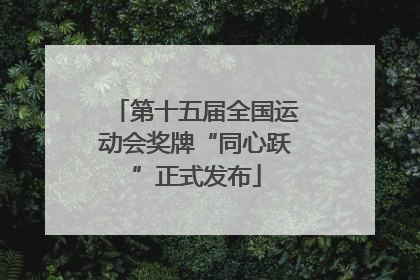 第十五届全国运动会奖牌“同心跃”正式发布