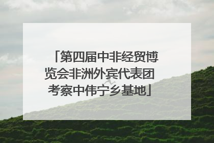 第四届中非经贸博览会非洲外宾代表团考察中伟宁乡基地