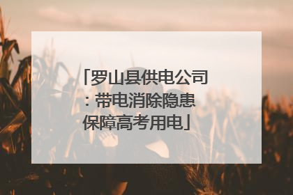 罗山县供电公司：带电消除隐患 保障高考用电
