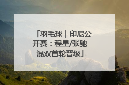 羽毛球｜印尼公开赛：程星/张驰混双首轮晋级
