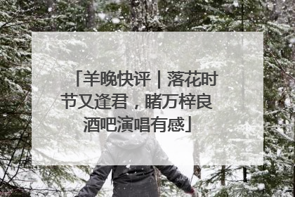 羊晚快评｜落花时节又逢君，睹万梓良酒吧演唱有感