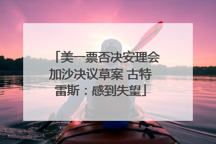 美一票否决安理会加沙决议草案 古特雷斯：感到失望