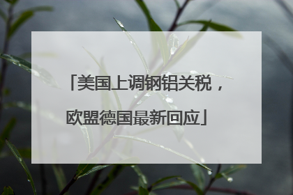美国上调钢铝关税，欧盟德国最新回应