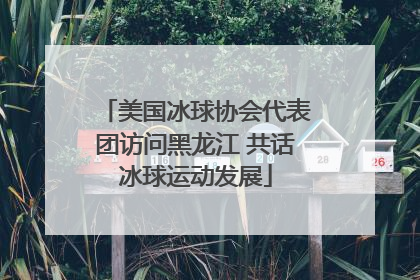 美国冰球协会代表团访问黑龙江 共话冰球运动发展