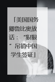 美国国务卿鲁比奥放话：“狠狠”吊销中国学生签证