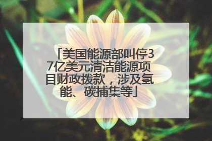 美国能源部叫停37亿美元清洁能源项目财政拨款，涉及氢能、碳捕集等