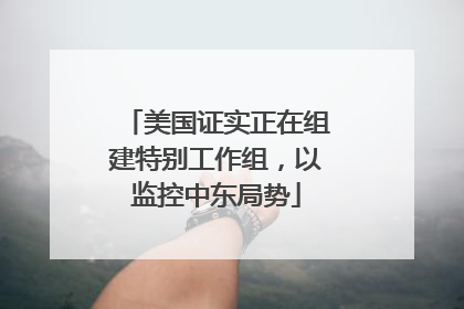 美国证实正在组建特别工作组，以监控中东局势