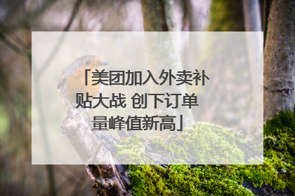 美团加入外卖补贴大战 创下订单量峰值新高
