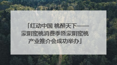 红动中国 桃醉天下——蒙阴蜜桃消费季暨蒙阴蜜桃产业推介会成功举办