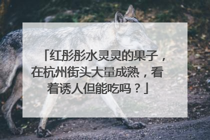 红彤彤水灵灵的果子，在杭州街头大量成熟，看着诱人但能吃吗？