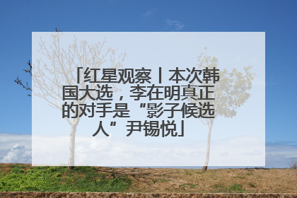 红星观察丨本次韩国大选，李在明真正的对手是“影子候选人”尹锡悦