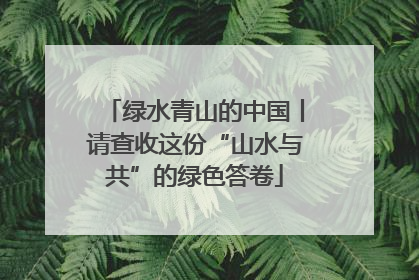 绿水青山的中国丨请查收这份“山水与共”的绿色答卷