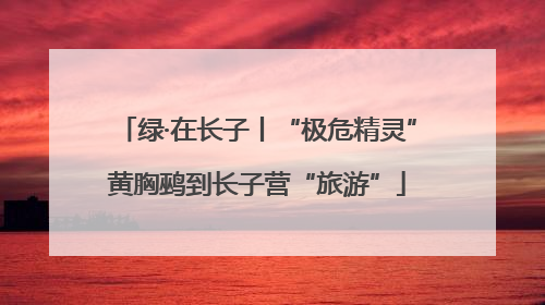 绿·在长子丨“极危精灵”黄胸鹀到长子营“旅游”
