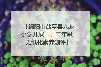 绵阳市盐亭县九龙小学开展一、二年级无纸化素养测评