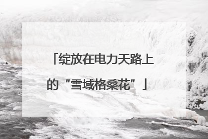 绽放在电力天路上的“雪域格桑花”