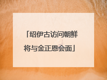 绍伊古访问朝鲜 将与金正恩会面
