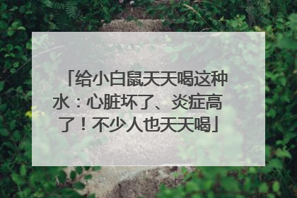 给小白鼠天天喝这种水：心脏坏了、炎症高了！不少人也天天喝