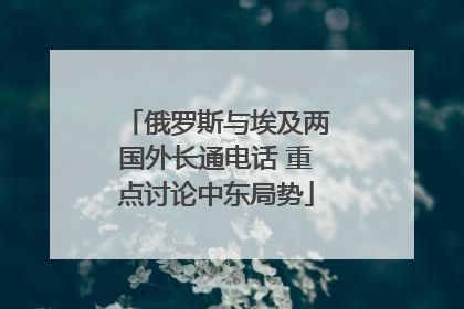俄罗斯与埃及两国外长通电话 重点讨论中东局势
