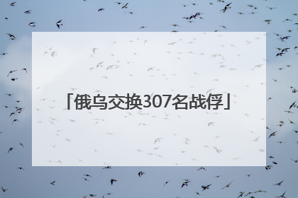俄乌交换307名战俘