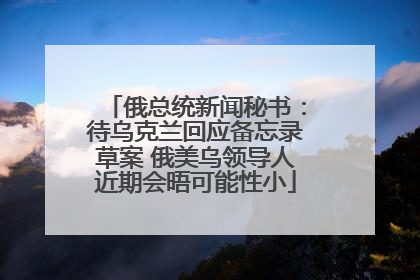 俄总统新闻秘书：待乌克兰回应备忘录草案 俄美乌领导人近期会晤可能性小