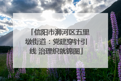 信阳市浉河区五里墩街道：党建穿针引线 治理织就锦图
