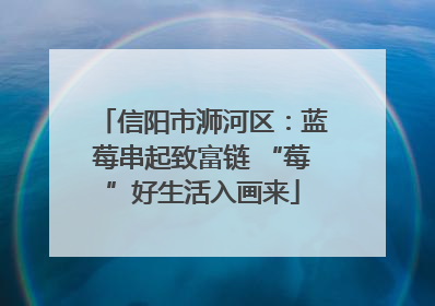 信阳市浉河区：蓝莓串起致富链 “莓”好生活入画来