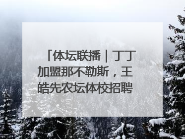 体坛联播｜丁丁加盟那不勒斯，王皓先农坛体校招聘笔试第一