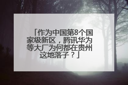 作为中国第8个国家级新区，腾讯华为等大厂为何都在贵州这地落子？