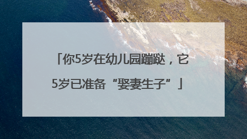 你5岁在幼儿园蹦跶，它5岁已准备“娶妻生子”