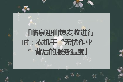 临泉迎仙镇麦收进行时：农机手“无忧作业”背后的服务温度