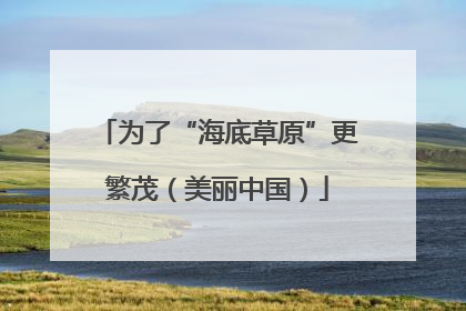 为了“海底草原”更繁茂（美丽中国）