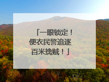 一眼锁定！便衣民警追逐百米擒贼！