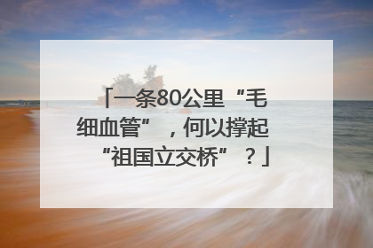 一条80公里“毛细血管”，何以撑起“祖国立交桥”？