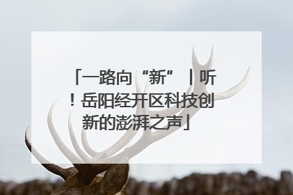 一路向“新”丨听！岳阳经开区科技创新的澎湃之声