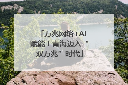 万兆网络+AI赋能！青海迈入“双万兆”时代