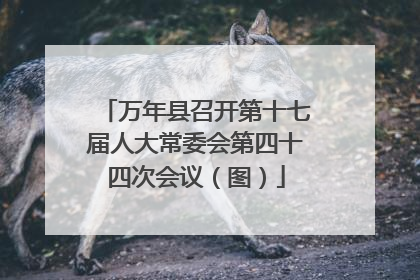 万年县召开第十七届人大常委会第四十四次会议（图）