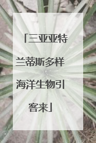 三亚亚特兰蒂斯多样海洋生物引客来