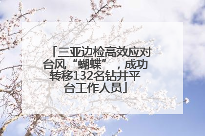 三亚边检高效应对台风“蝴蝶”，成功转移132名钻井平台工作人员