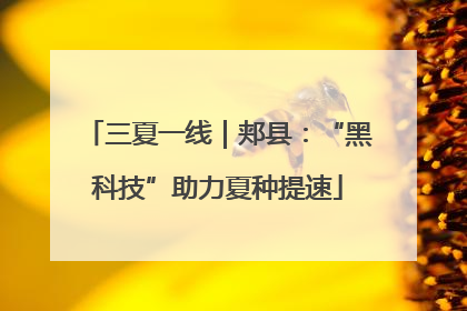 三夏一线｜郏县：“黑科技”助力夏种提速