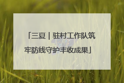 三夏｜驻村工作队筑牢防线守护丰收成果
