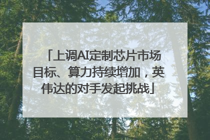 上调AI定制芯片市场目标、算力持续增加，英伟达的对手发起挑战